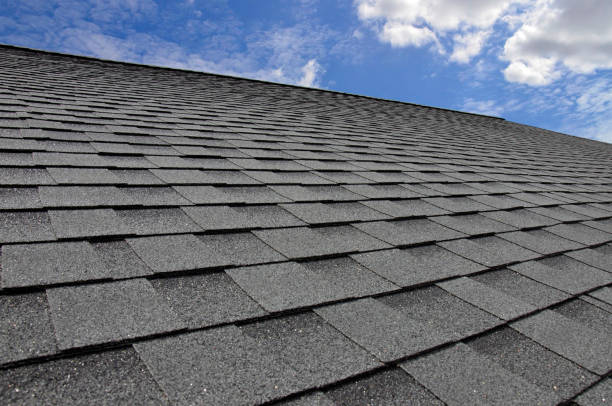 Best Storm Damage Roof Repair  in Clifton Springs, NY