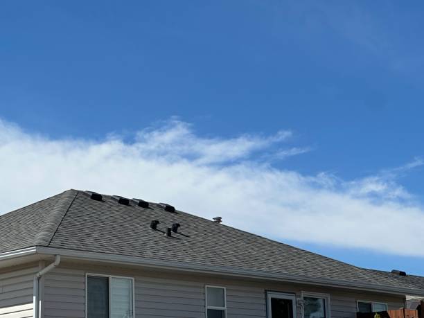 Best Roof Maintenance and Cleaning  in Clifton Springs, NY